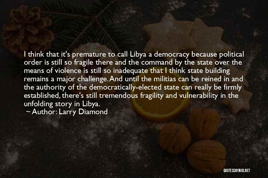 Libya Quotes By Larry Diamond