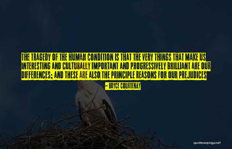 Licenciatura Em Quotes By Bryce Courtenay Licenciatura Em Quotes By Bryce Courtenay