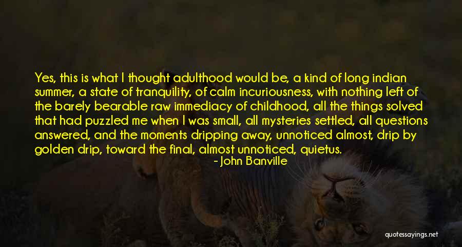 Licentiate Exam Quotes By John Banville Licentiate Exam Quotes By John Banville