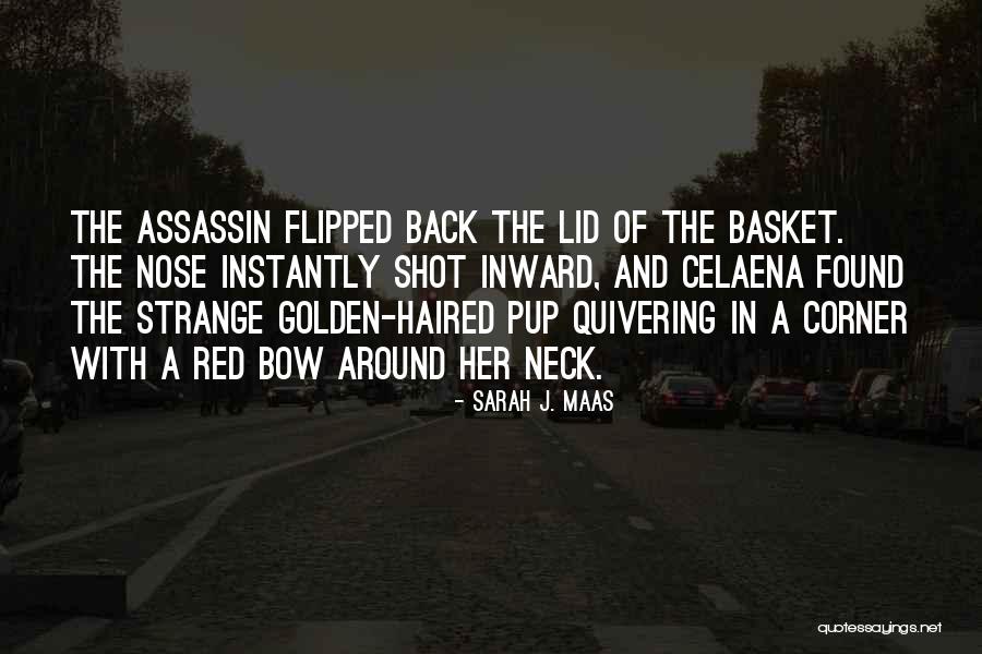 Licenza Windows Quotes By Sarah J. Maas Licenza Windows Quotes By Sarah J. Maas