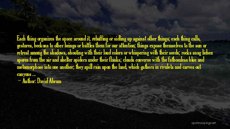 Lichen Quotes By David Abram