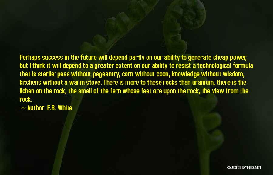 Lichen Quotes By E.B. White