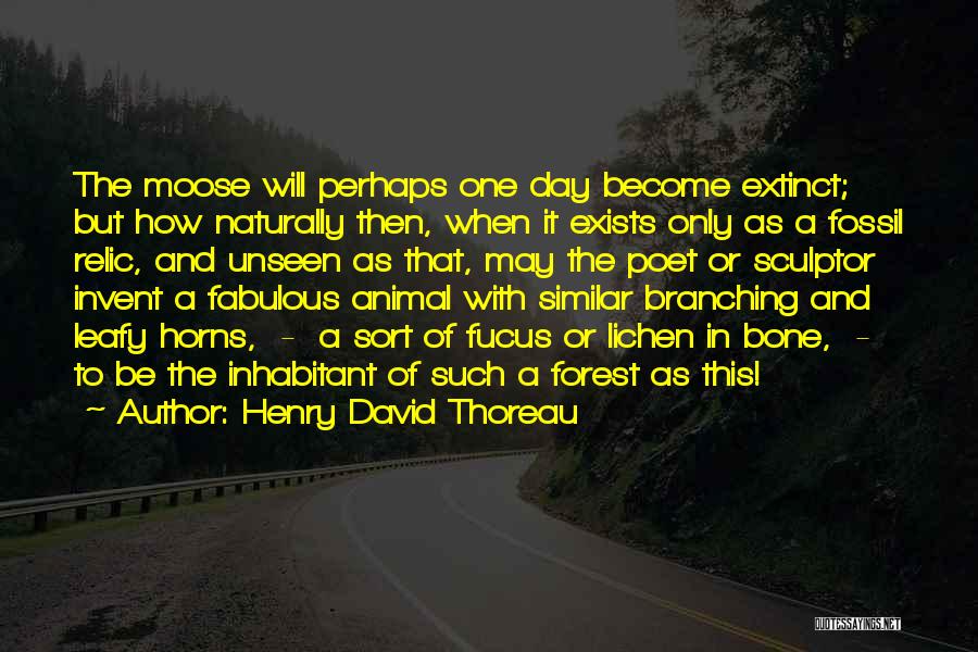 Lichen Quotes By Henry David Thoreau