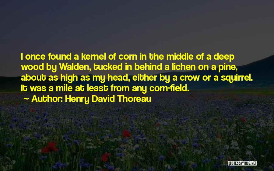 Lichen Quotes By Henry David Thoreau