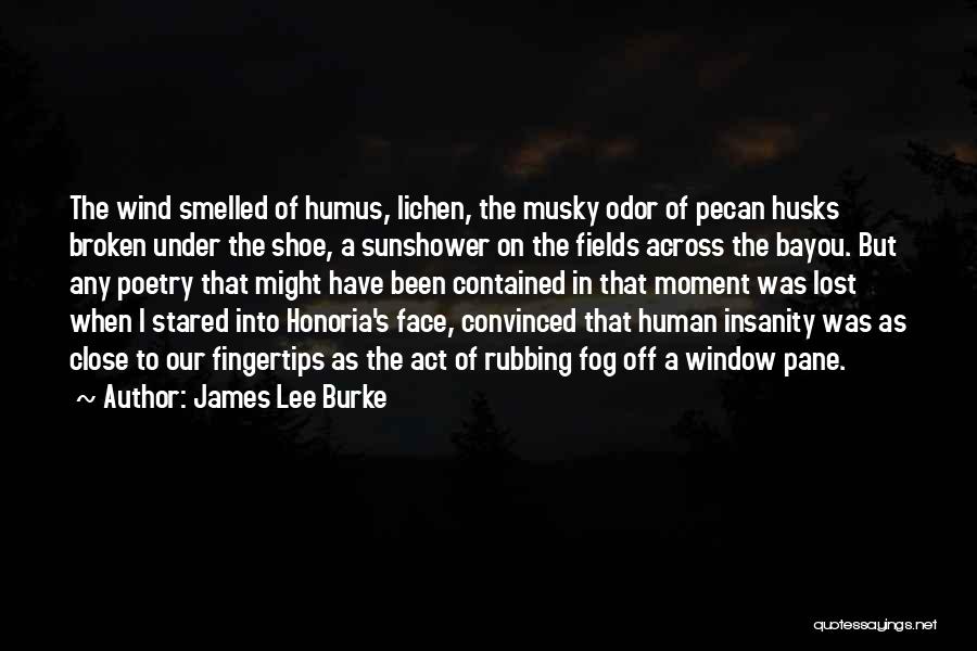 Lichen Quotes By James Lee Burke