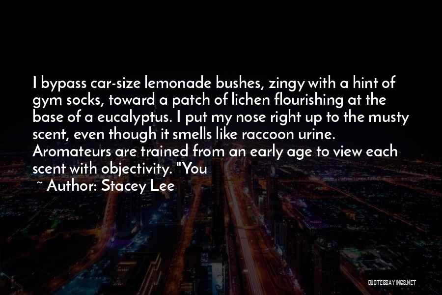 Lichen Quotes By Stacey Lee