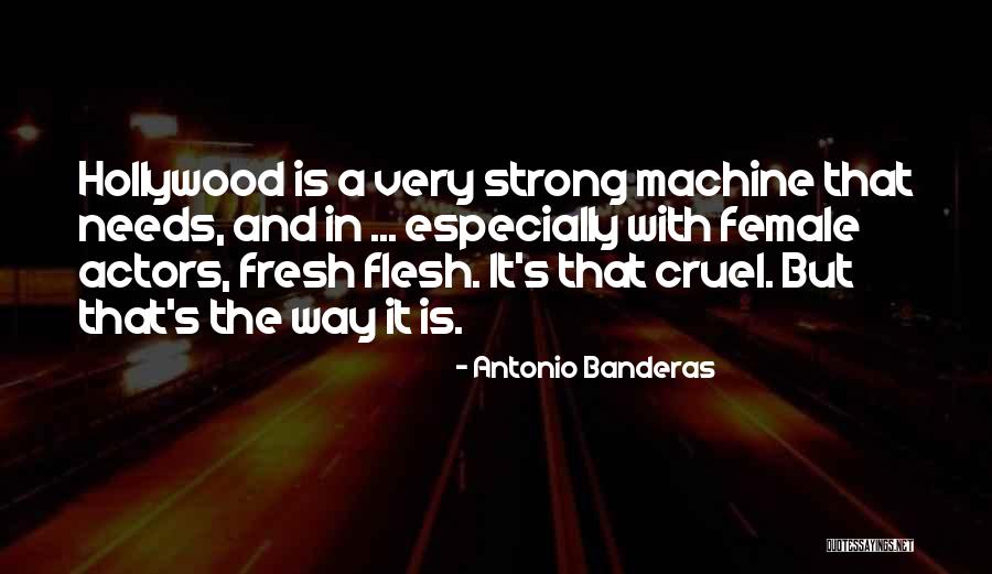 Licheness Quotes By Antonio Banderas Licheness Quotes By Antonio Banderas