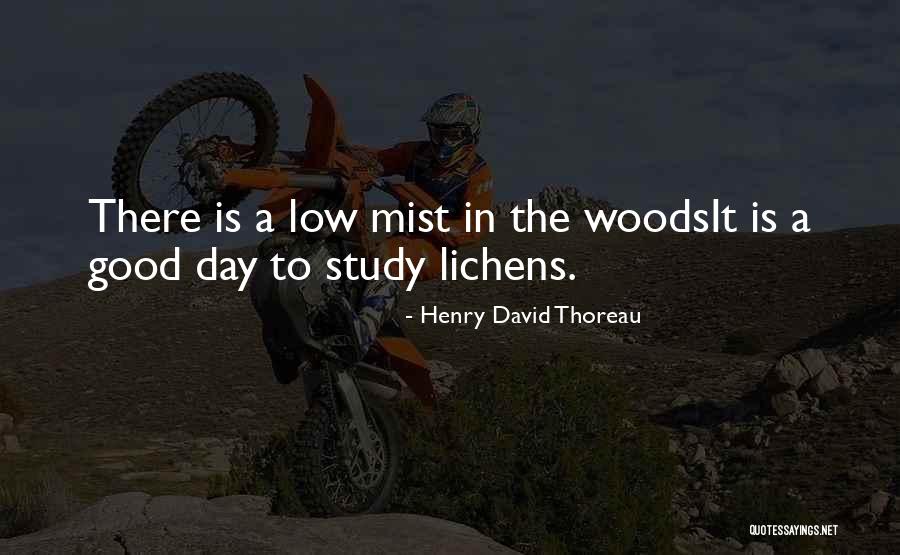 Lichens Quotes By Henry David Thoreau Lichens Quotes By Henry David Thoreau