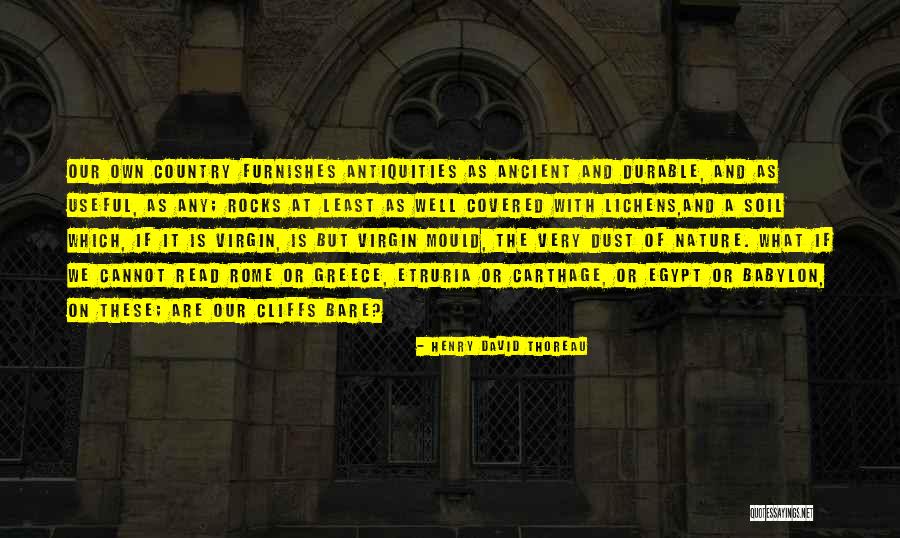 Lichens Quotes By Henry David Thoreau Lichens Quotes By Henry David Thoreau