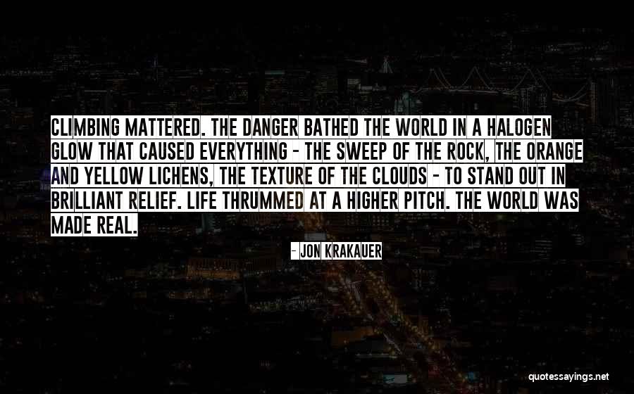 Lichens Quotes By Jon Krakauer Lichens Quotes By Jon Krakauer