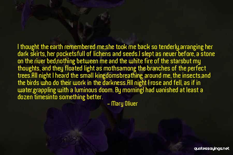 Lichens Quotes By Mary Oliver Lichens Quotes By Mary Oliver