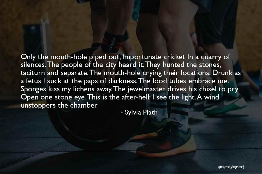 Lichens Quotes By Sylvia Plath Lichens Quotes By Sylvia Plath