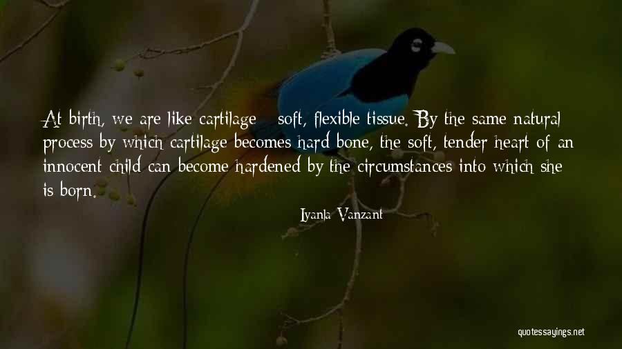 Lichia Em Quotes By Iyanla Vanzant Lichia Em Quotes By Iyanla Vanzant