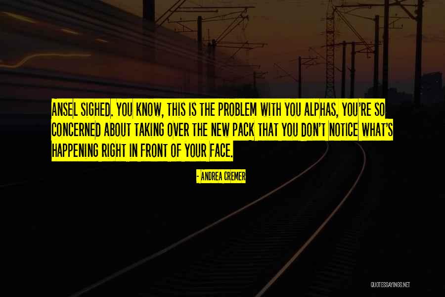 Lichtenbarger Quotes By Andrea Cremer Lichtenbarger Quotes By Andrea Cremer