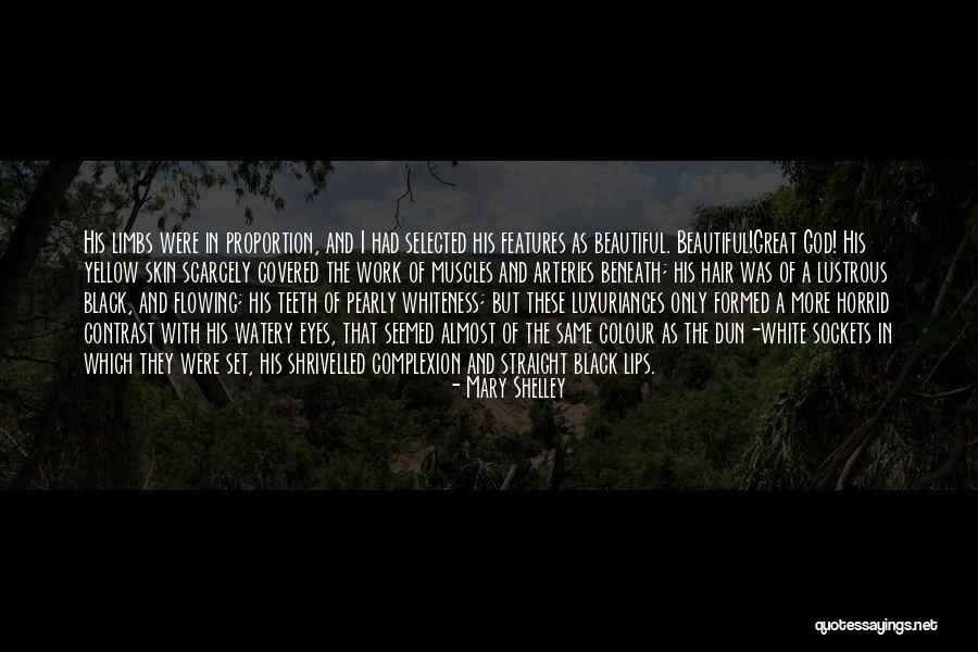 Lichtenberg Castle Quotes By Mary Shelley Lichtenberg Castle Quotes By Mary Shelley