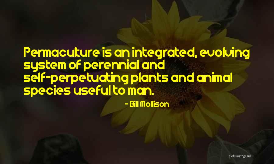 Lichtenberger Agency Quotes By Bill Mollison Lichtenberger Agency Quotes By Bill Mollison