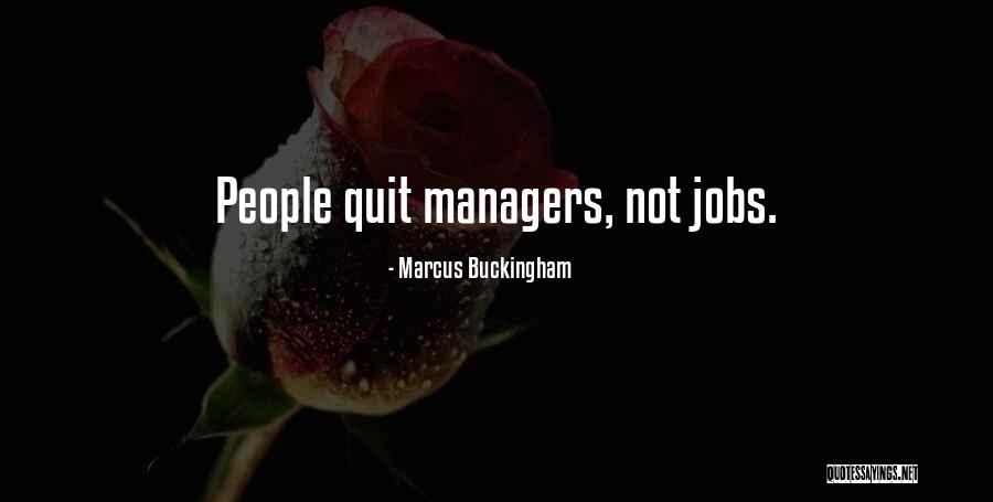 Lichter Glockenspiel Quotes By Marcus Buckingham Lichter Glockenspiel Quotes By Marcus Buckingham