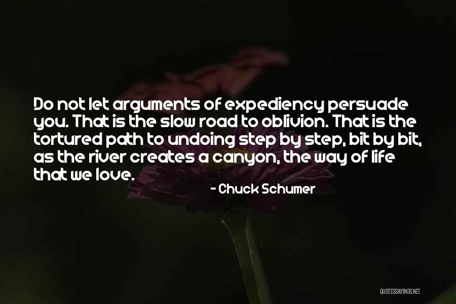 Lichtmann Anna Quotes By Chuck Schumer Lichtmann Anna Quotes By Chuck Schumer