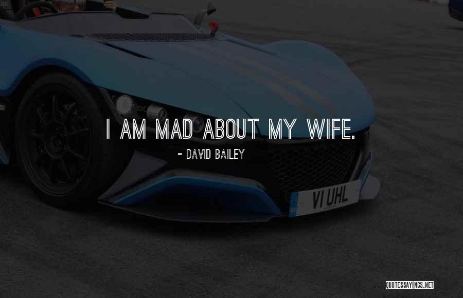 Licitra Salvatore Quotes By David Bailey