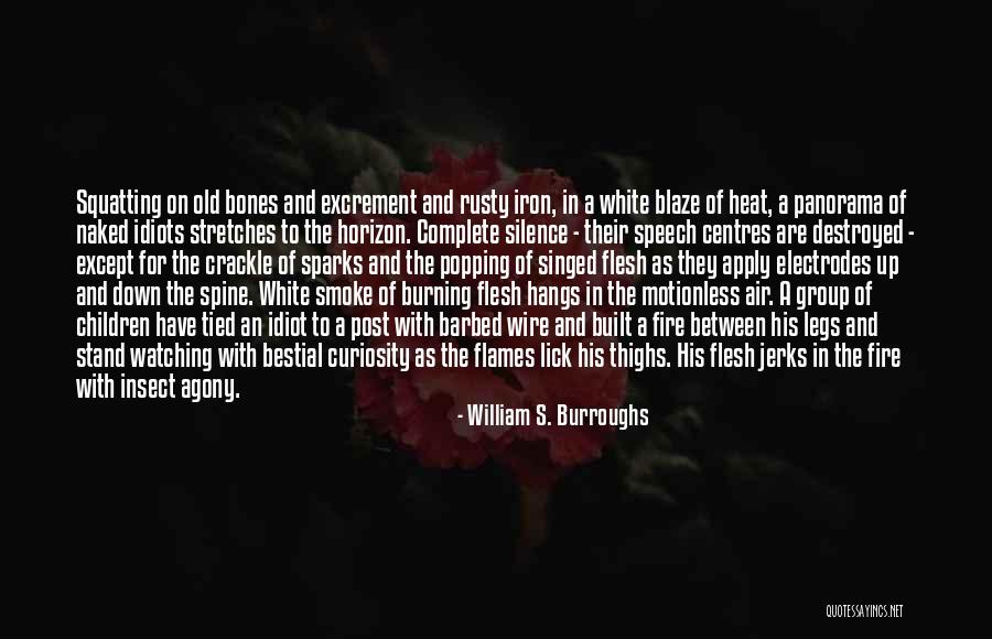 Lickemaid Quotes By William S. Burroughs Lickemaid Quotes By William S. Burroughs