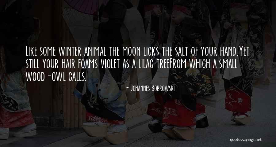 Licks Quotes By Johannes Bobrowski Licks Quotes By Johannes Bobrowski