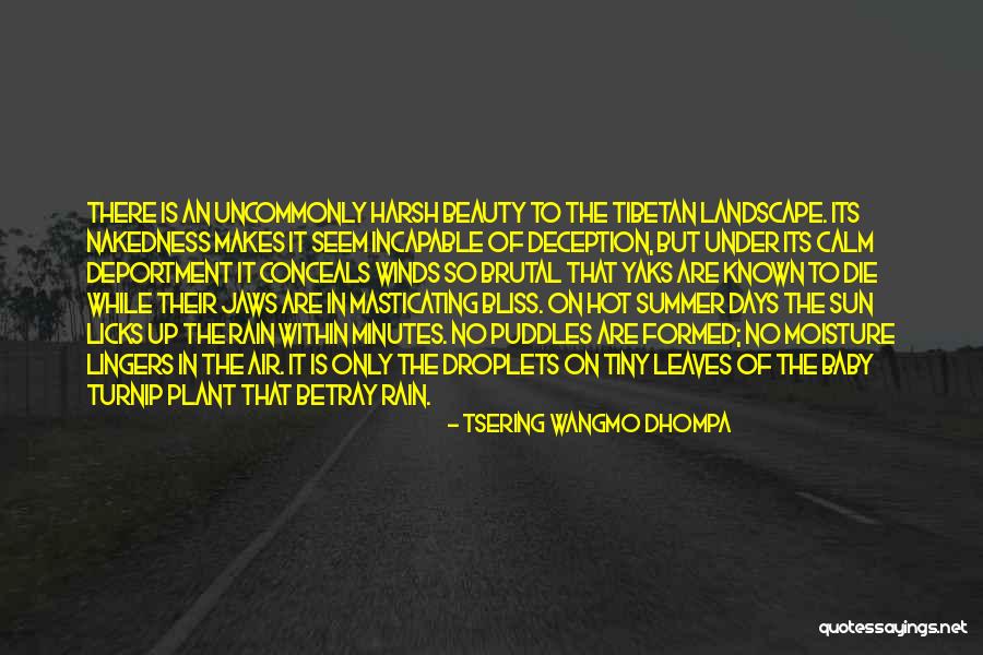 Licks Quotes By Tsering Wangmo Dhompa Licks Quotes By Tsering Wangmo Dhompa