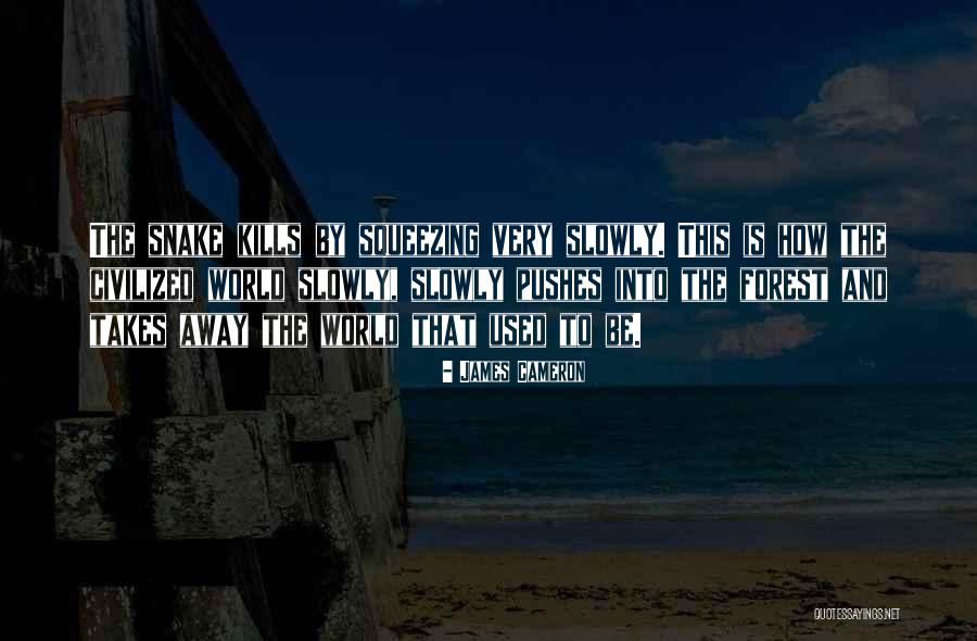 Lictors In Roman Quotes By James Cameron Lictors In Roman Quotes By James Cameron