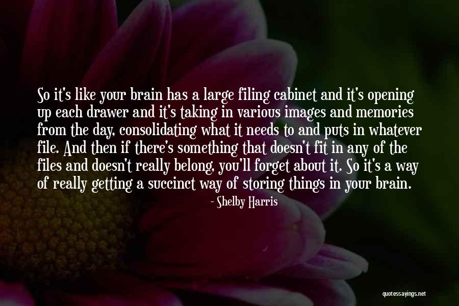 Liddington Camp Quotes By Shelby Harris Liddington Camp Quotes By Shelby Harris