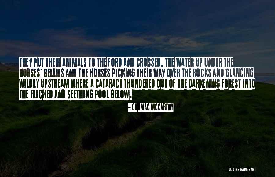 Liderler Ayni Quotes By Cormac McCarthy Liderler Ayni Quotes By Cormac McCarthy