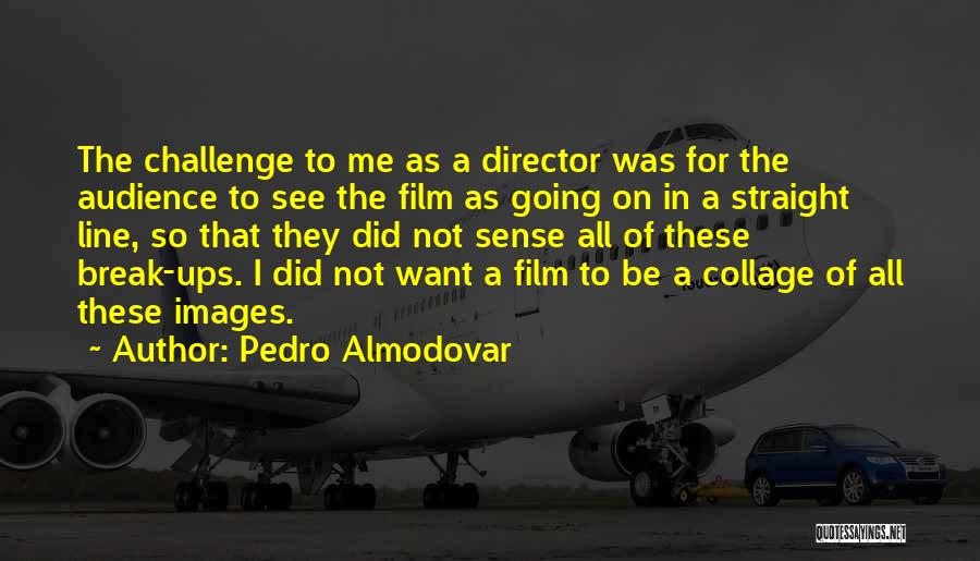 Lidhje Serioze Quotes By Pedro Almodovar