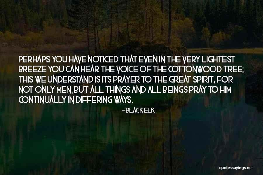Lidinsky Quotes By Black Elk Lidinsky Quotes By Black Elk