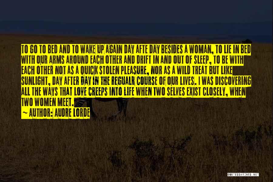 Lie After Lie Quotes By Audre Lorde