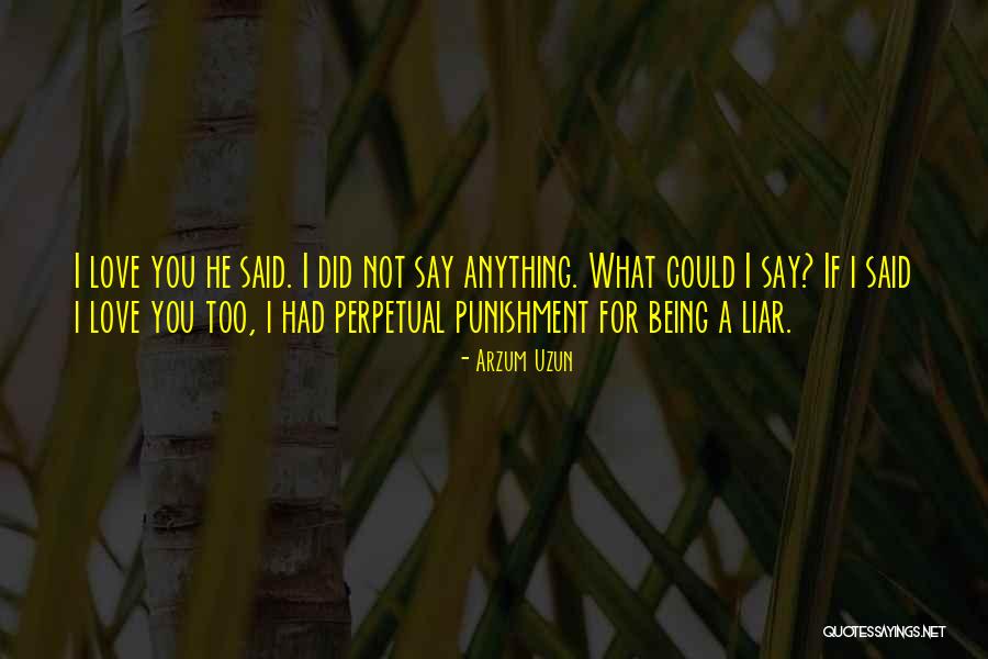 Lie Liar Quotes By Arzum Uzun Lie Liar Quotes By Arzum Uzun