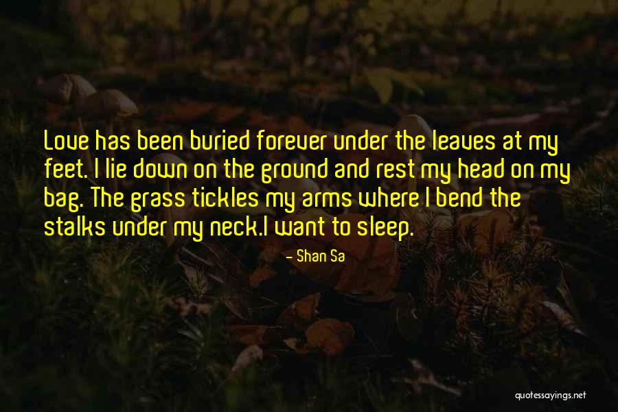 Lie Lie Quotes By Shan Sa