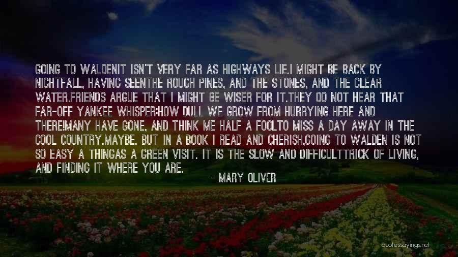 Lie To Me Gone Quotes By Mary Oliver Lie To Me Gone Quotes By Mary Oliver