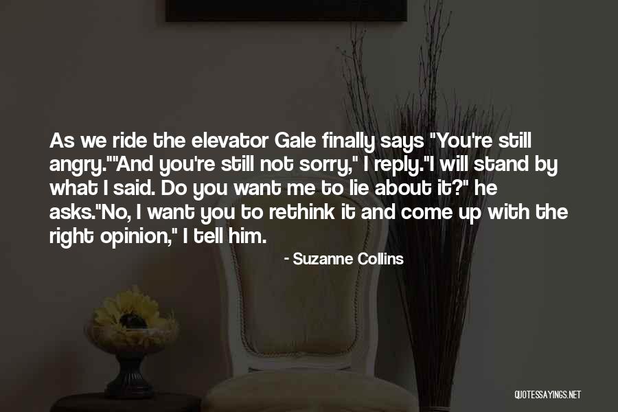 Lie To Me Quotes By Suzanne Collins