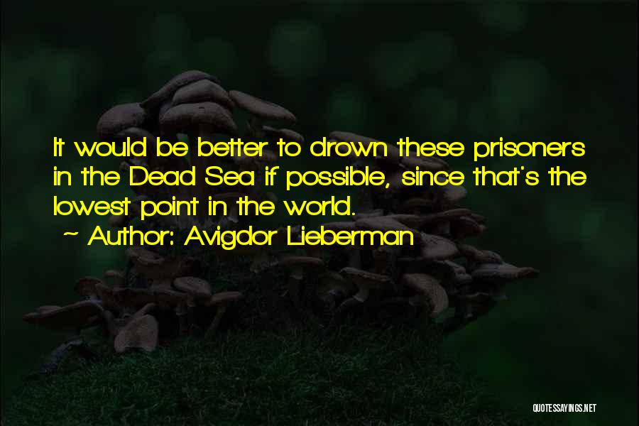Lieberman Quotes By Avigdor Lieberman