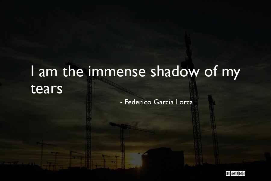 Liebesfilme Quotes By Federico Garcia Lorca