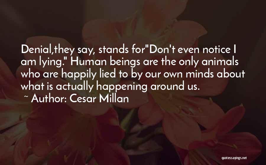 Lied To Quotes By Cesar Millan