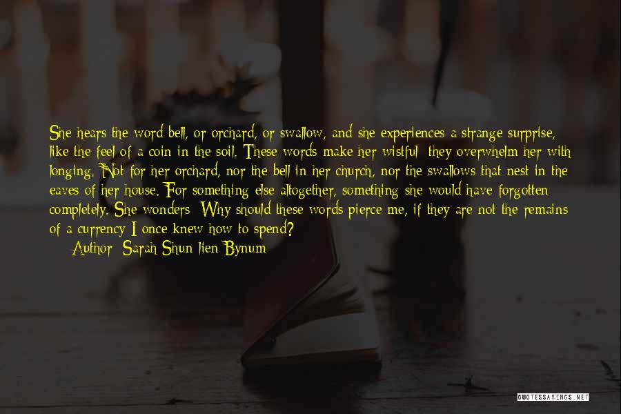 Lien Quotes By Sarah Shun-lien Bynum