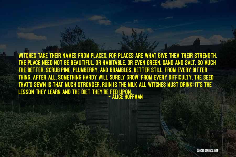 Lierhaus Heiratsantrag Quotes By Alice Hoffman Lierhaus Heiratsantrag Quotes By Alice Hoffman