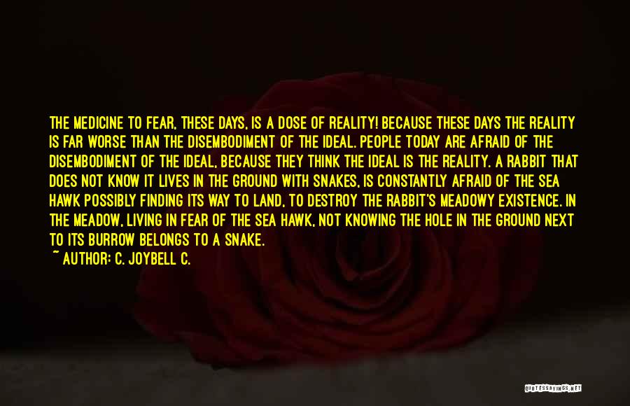 Lies And Deception Quotes By C. JoyBell C.