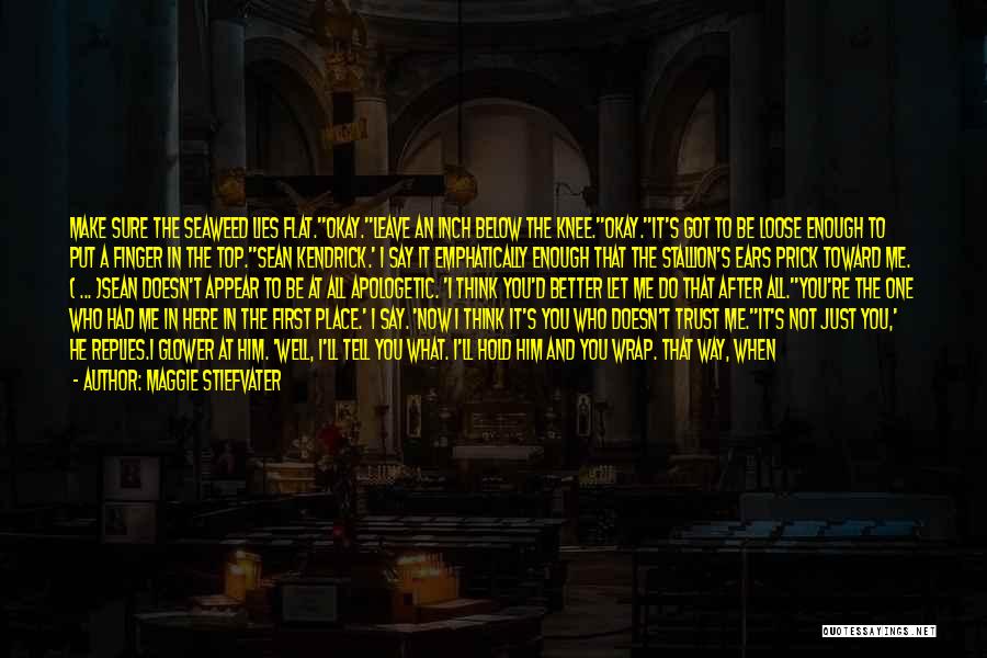 Lies And Trust Quotes By Maggie Stiefvater Lies And Trust Quotes By Maggie Stiefvater