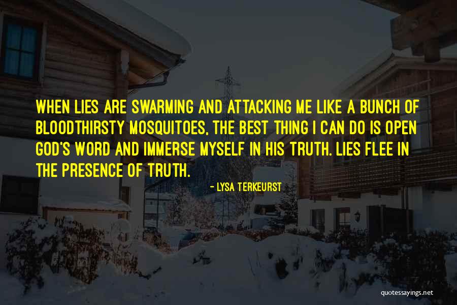 Lies And Truth Quotes By Lysa TerKeurst