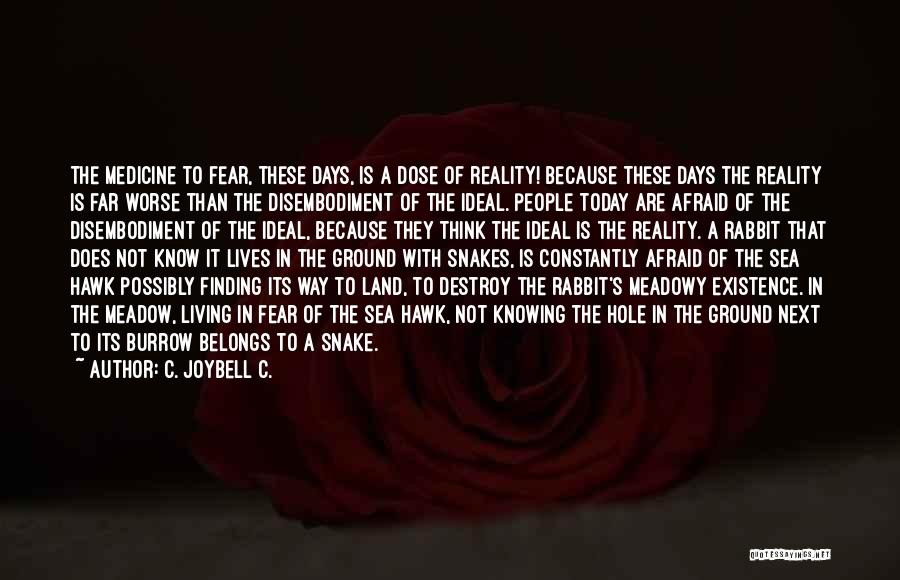 Lies Destroy Quotes By C. JoyBell C.