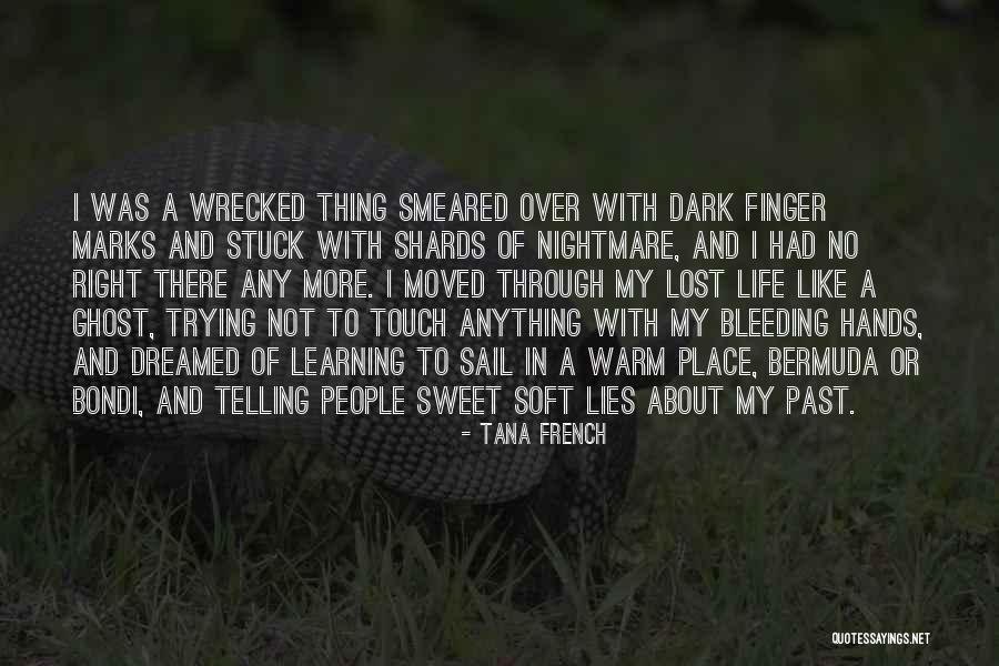 Lies Over Lies Quotes By Tana French Lies Over Lies Quotes By Tana French