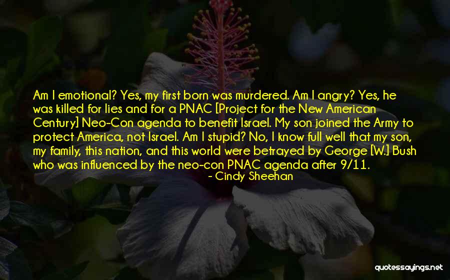 Lies To Protect Quotes By Cindy Sheehan