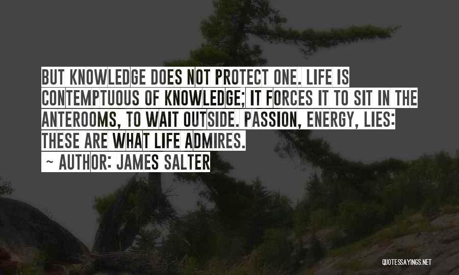 Lies To Protect Quotes By James Salter