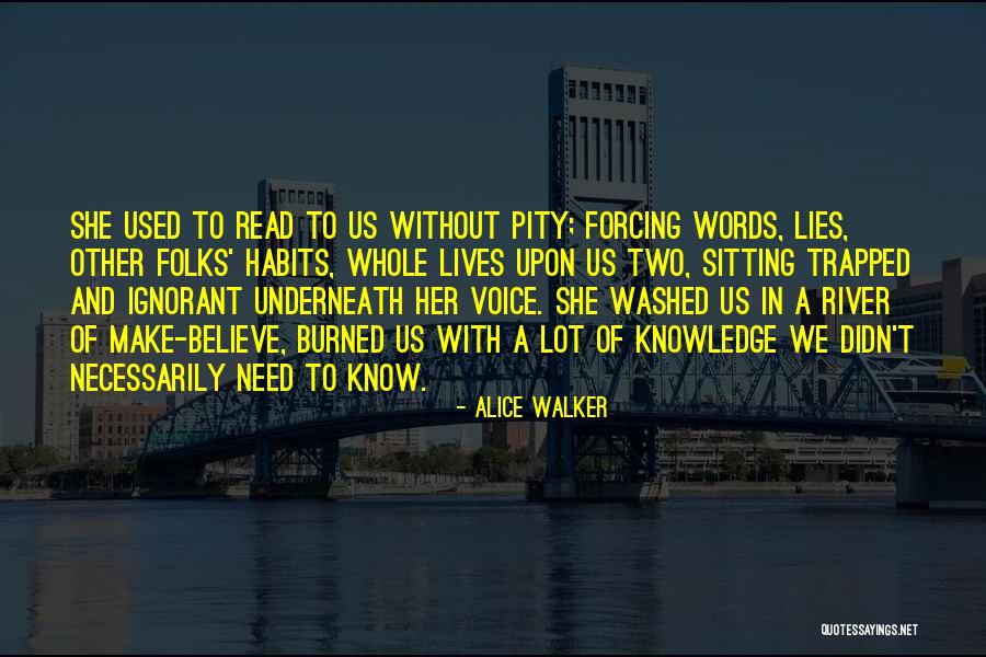 Lies We Believe Quotes By Alice Walker