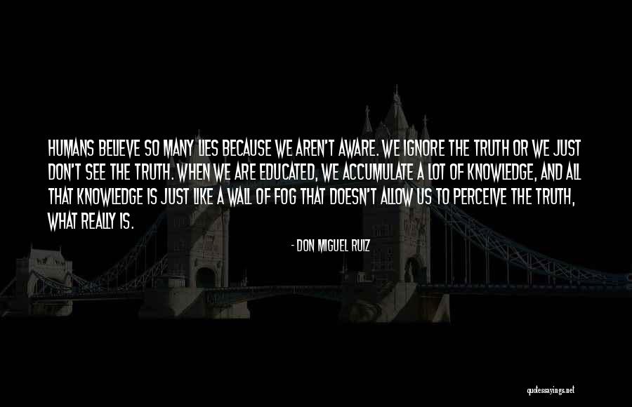 Lies We Believe Quotes By Don Miguel Ruiz